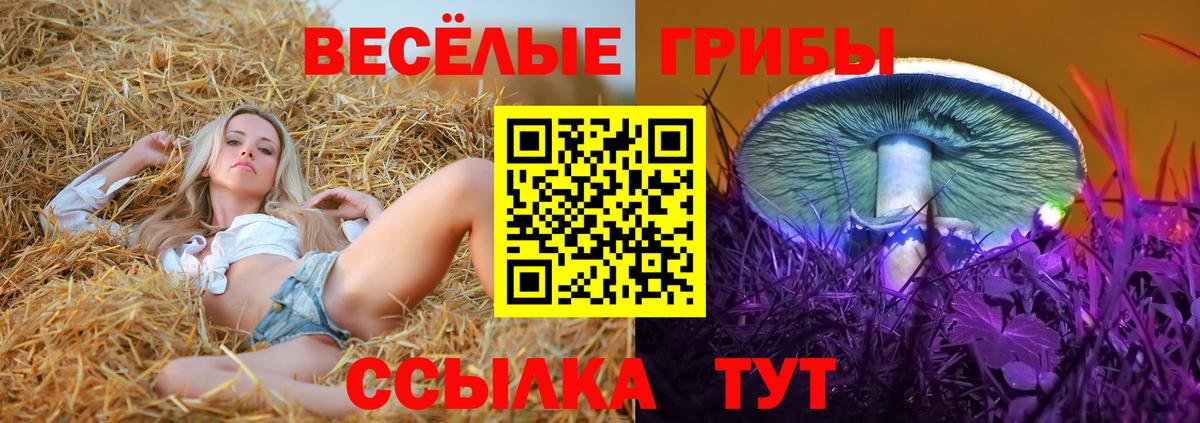 Псилоцибиновые грибы ЛСД Белорецк